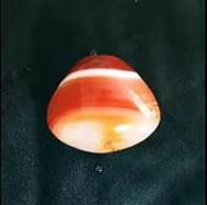 301ce31cfc2a3f4b5917593841533f0